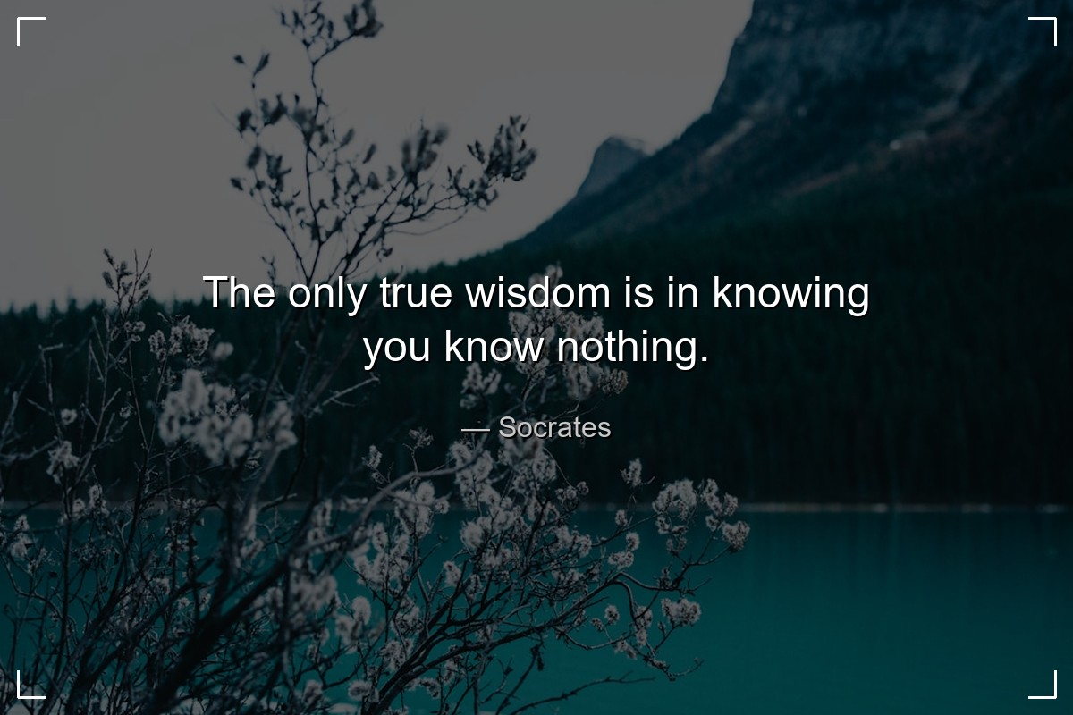 The only true wisdom is in knowing you know nothin... - Socrates